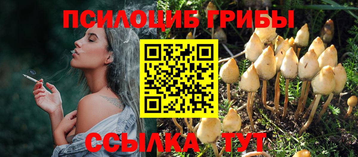 Галлюциногенные грибы Magic Shrooms  Псилоцибиновые грибы ЛСД  дарнет шоп  Усолье-Сибирское  Вход с VPN 